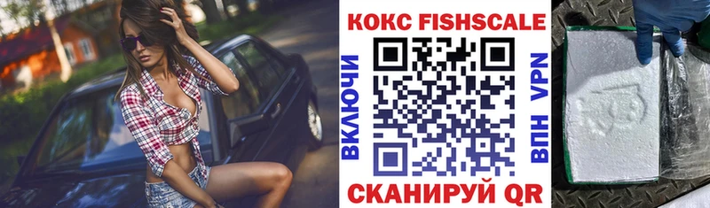 COCAIN Fish Scale  Купить закладки  Ливны 