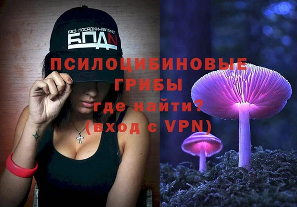 ешки Вязьма