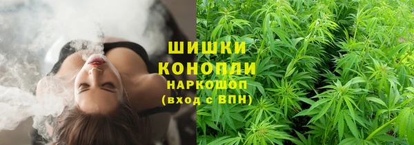 ешки Вязьма