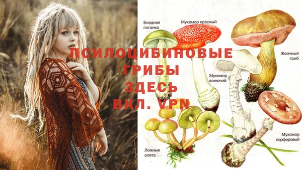каннабис Вязники