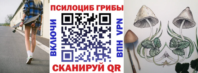 Псилоцибиновые грибы Magic Shrooms Купить Ливны